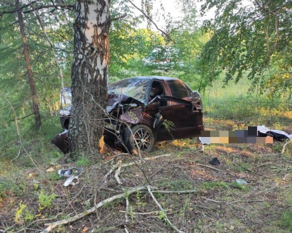 В Чувашии в автомобильной аварии погиб ульяновский водитель
