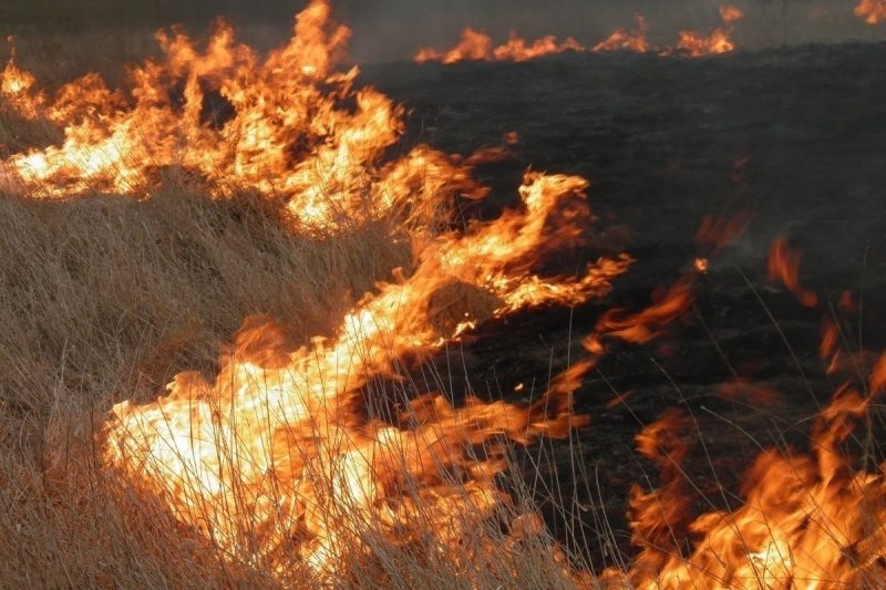 Огонь охватил полтора гектара. В Новомалыклинском районе спасатели тушили лесной пожар