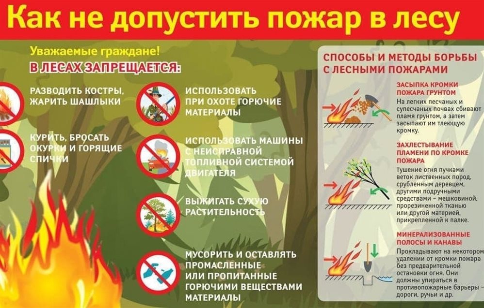Ульяновцам рассказали о правилах поведения в лесу в пожароопасный период