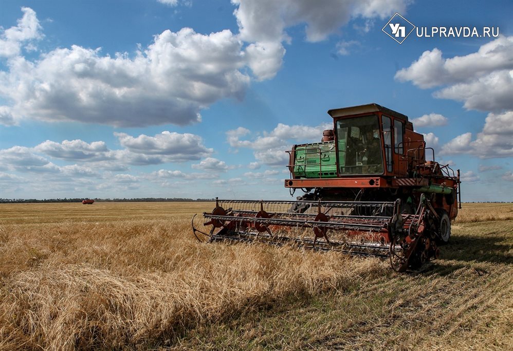 В Ульяновской области намолотили больше двух тонн зерна
