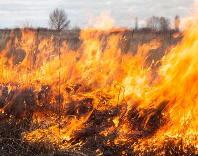 Опасность сохраняется. Ульяновские спасатели выезжают на тушение сухой травы