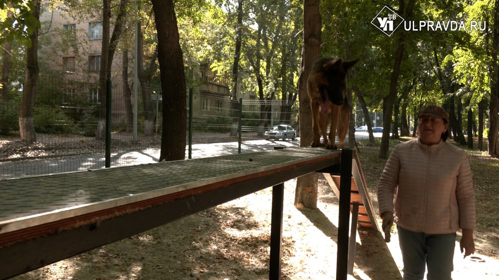 Площадка для выгула собак и сауна для спортсменов. В Ульяновске реализуют проекты жителей