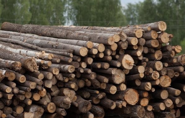 На бирже в Санкт-Петербурге реализовали четыре тысячи кубометров ульяновской древесины