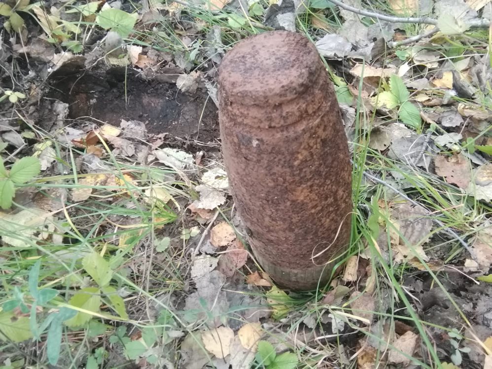 В Ульяновской области грибники нашли в лесу танковые снаряды