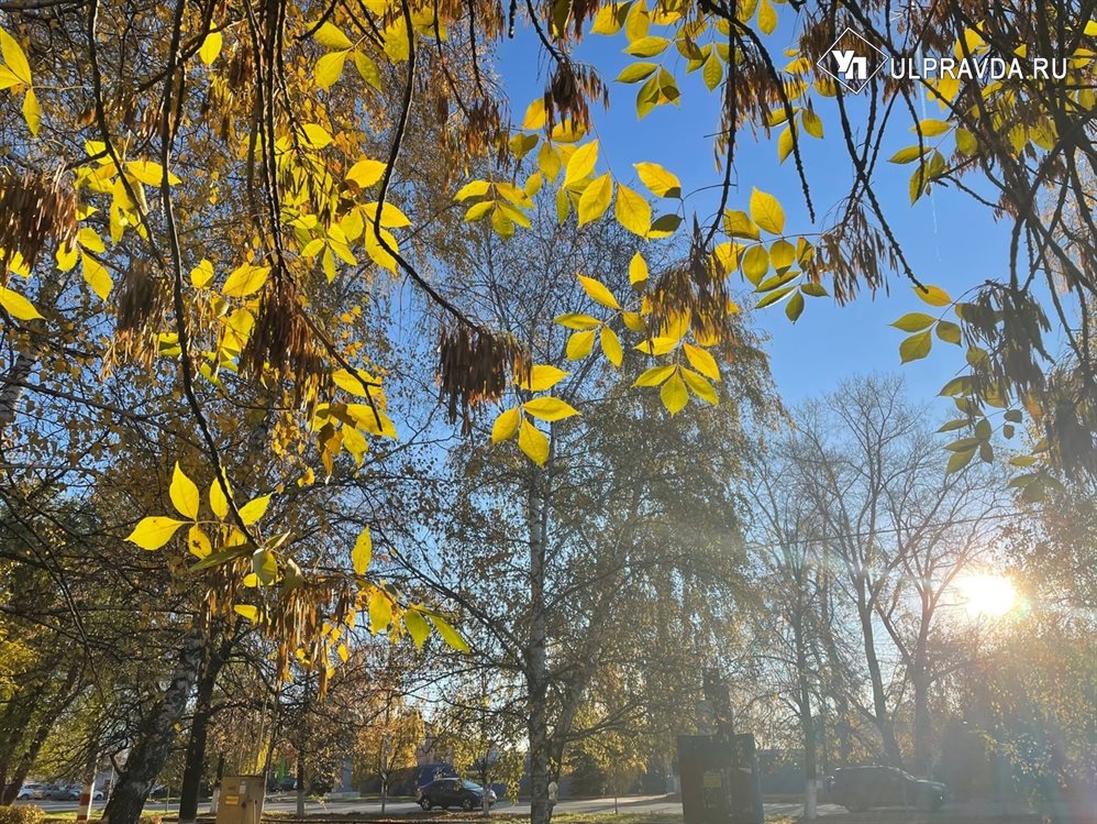 Солнечно и безветренно. Погода в Ульяновской области в воскресенье