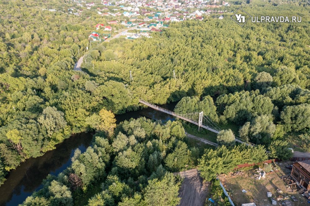 Ульяновцы высадили более 115 тысяч саженцев в рамках акции «Сохраним лес»
