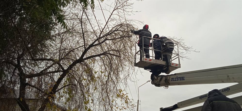 В Ульяновске спилили 126 опасных деревьев
