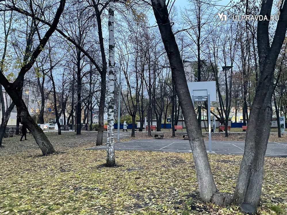 Жителям Ульяновской области рекомендовано реже выходить на улицу