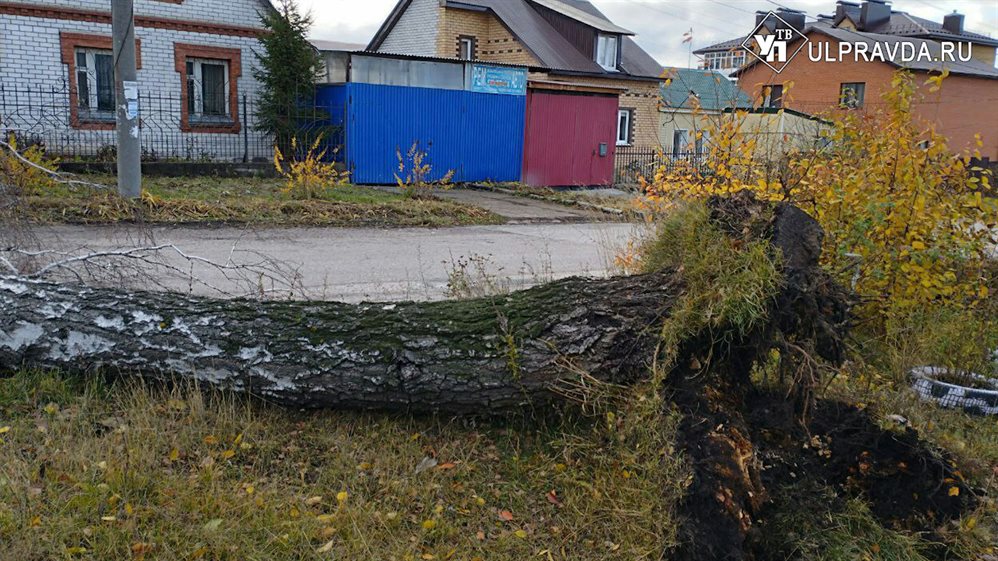 Когда ветер утихнет? Ульяновские службы устраняют последствия урагана