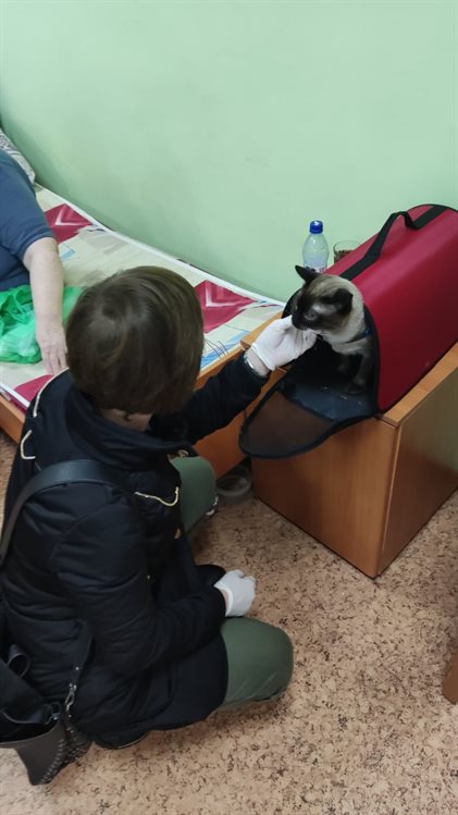 В Ульяновскую область приехали 48 переселенцев, две собаки и кошка