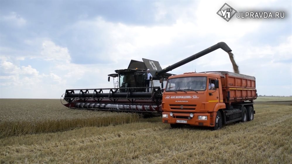 Аграрии Ульяновской области побили рекорды по сбору зерна за 30 лет