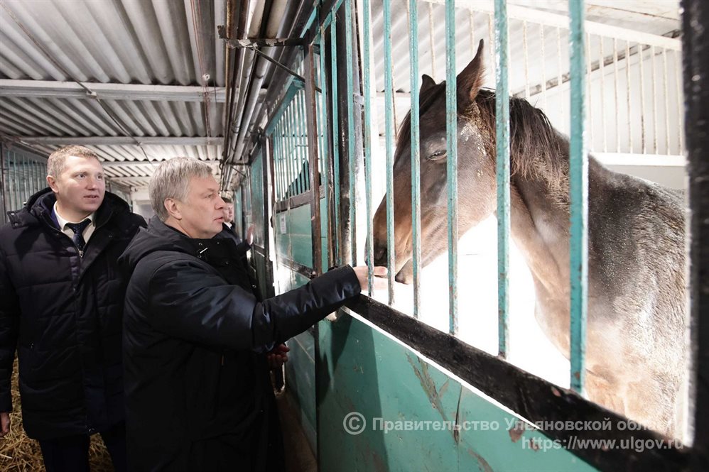 В Николаевском районе обновляют детско-юношескую конно-спортивную школу