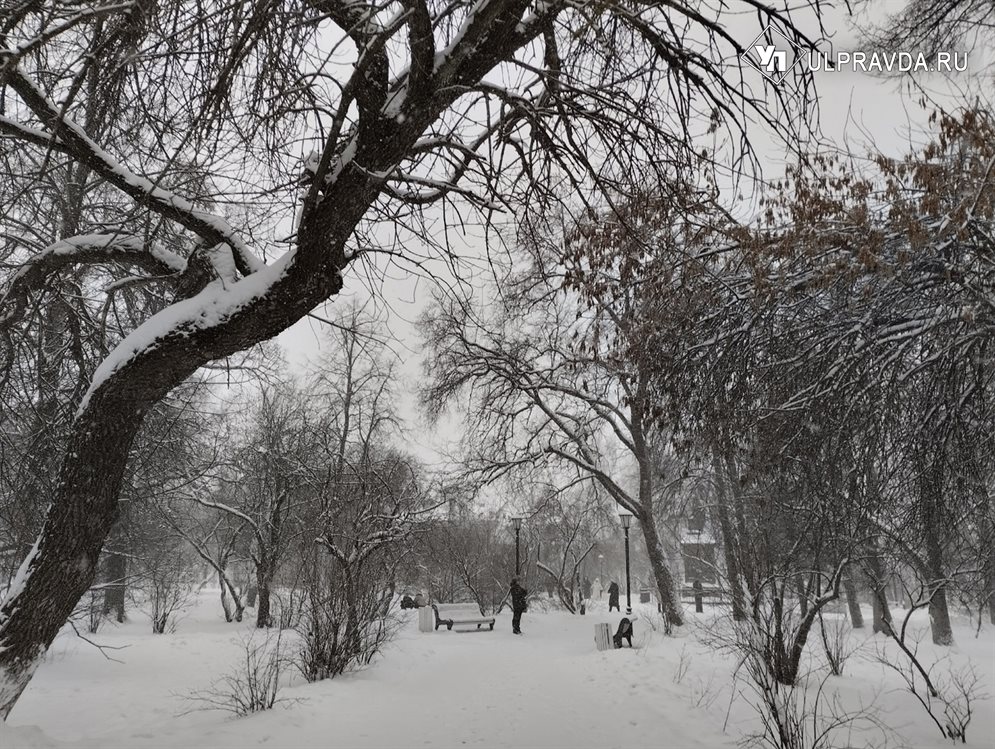 Атлантический циклон принес в Ульяновскую область снегопад и потепление