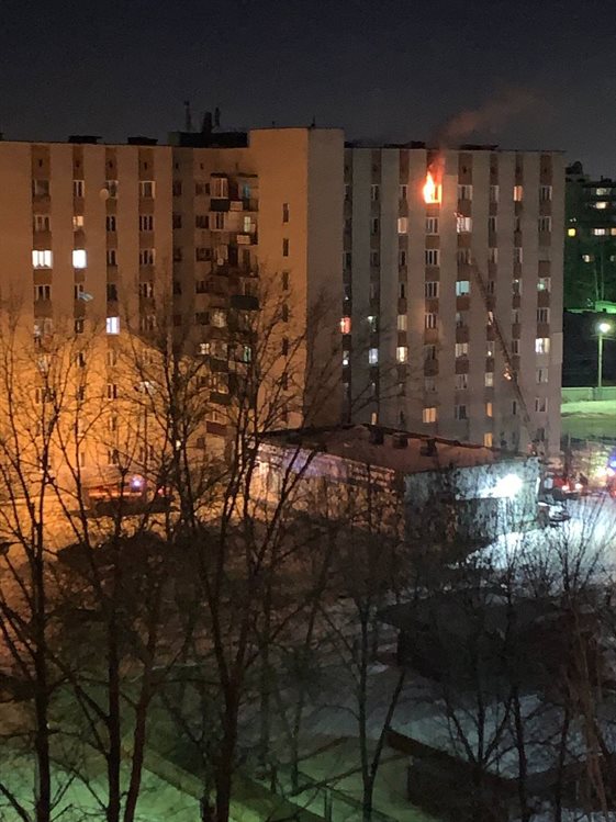 В Железнодорожном районе Ульяновска при пожаре в общежитии сгорели кошки