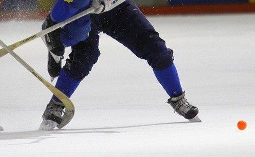 Ульяновские спортсмены привезли медали с соревнований по хоккею, армрестлингу и биатлону