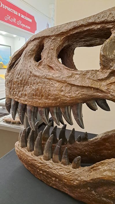 Древняя жизнь. 500 миллионов лет ульяновцам показали в одной выставке