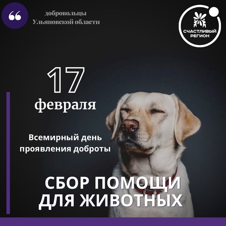 Ульяновцев просят помочь с кормом и одеялами собакам из приютов