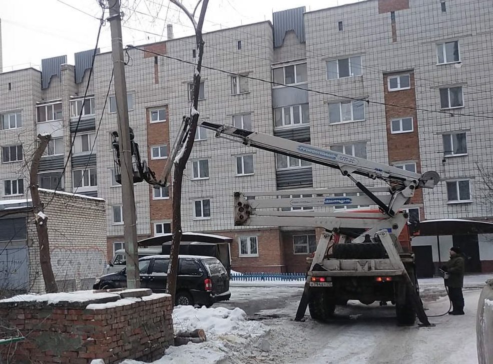В Ульяновске за неделю снесли 78 аварийных деревьев