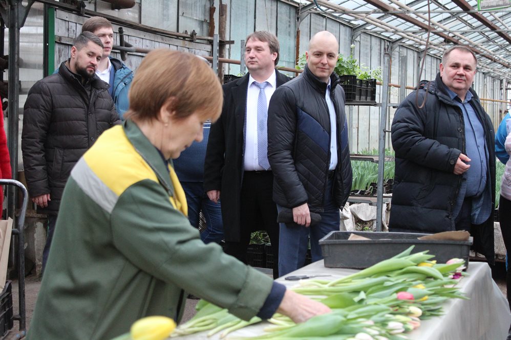 Мэру Йошкар-Олы показали в Ульяновске тюльпаны и дорожную технику