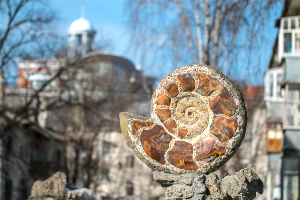 Фонтан, мозаичное панно и коллекция аммонитов. В Ульяновске открылся первый в мире музей симбирцита