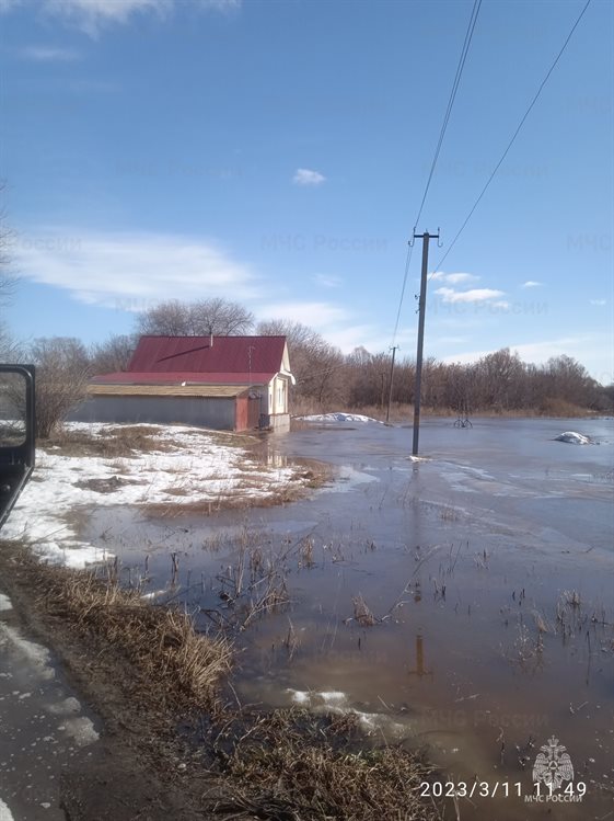В Новоспасском районе затопило несколько сел