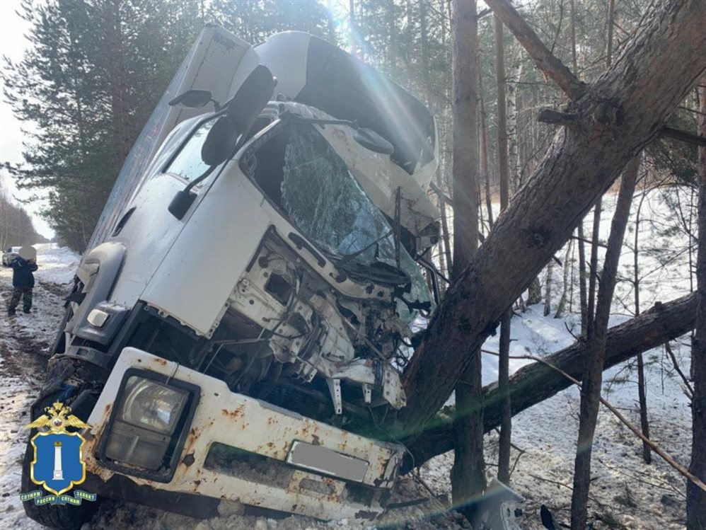 В Николаевском районе автомобиль «Исузу» врезался в дерево
