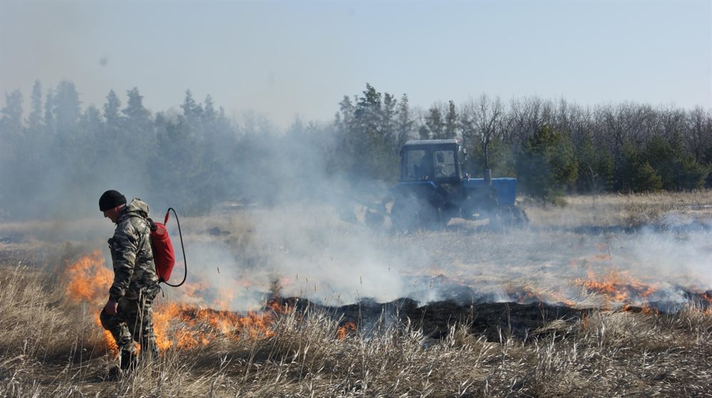 3 апреля в ульяновских лесах стартует пожароопасный сезон