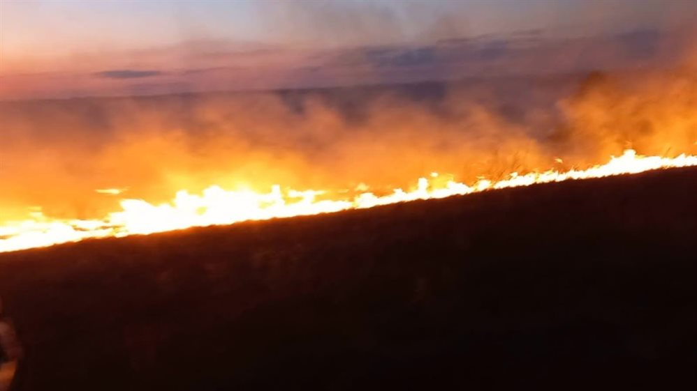 В Тереньгульском районе специальные службы не пустили огонь в лес