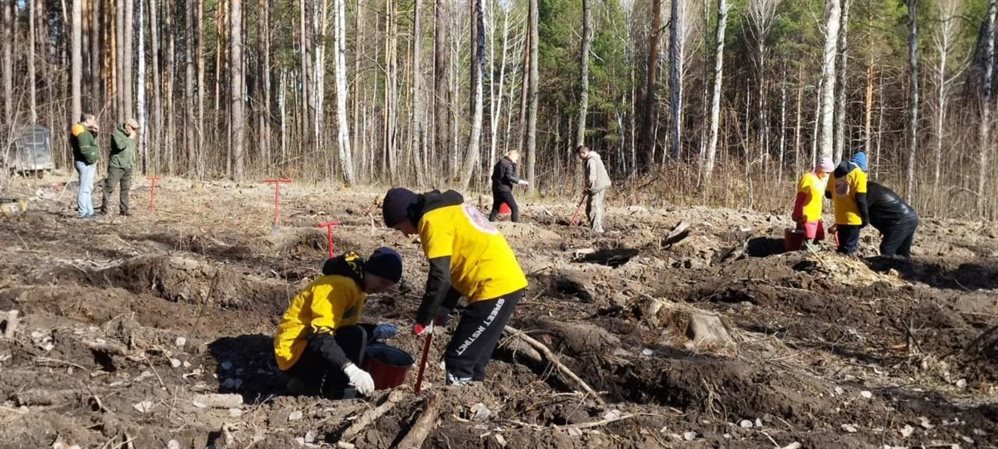 На этой неделе в Ульяновской области заложен новый «Сад Памяти»
