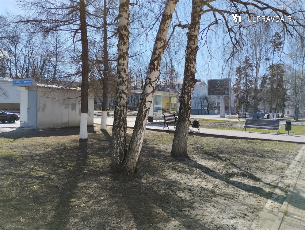 В среду в Ульяновской области ожидаются сильный ветер и тепло