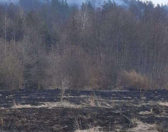 33 человека тушили пожар в Николаевском лесничестве