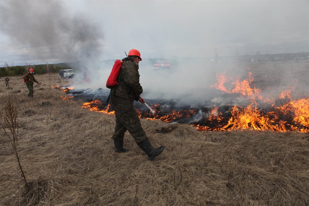 Горячая весна. Почему в Ульяновской области растет число пожаров
