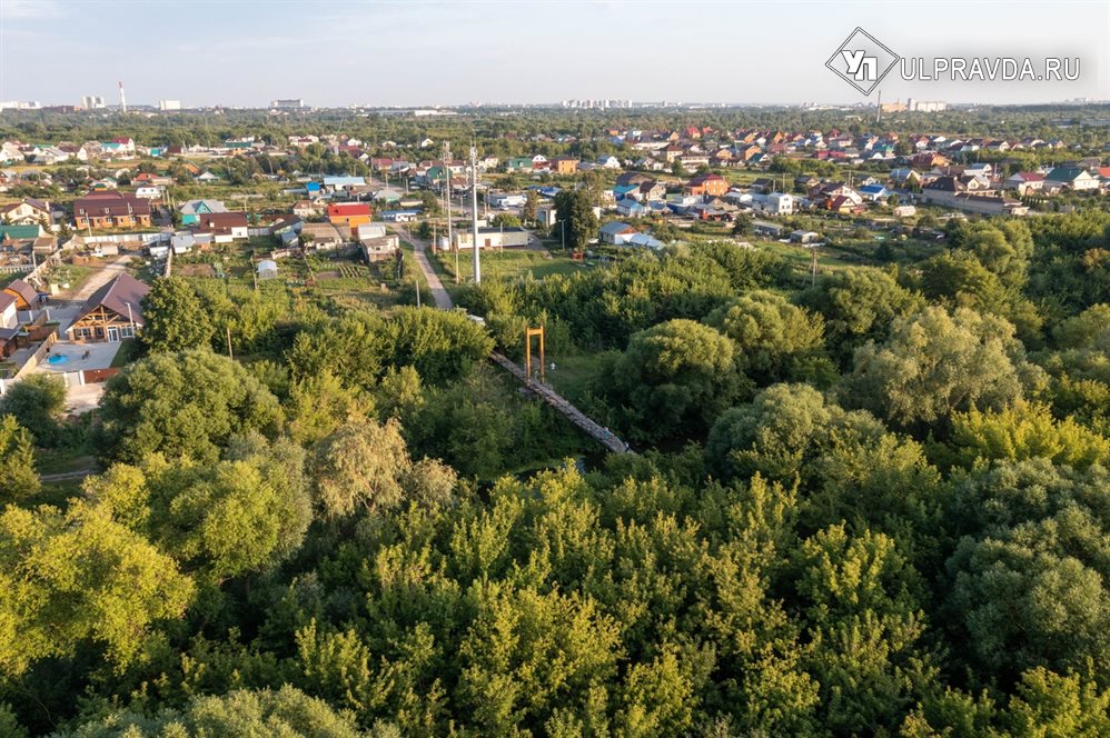 В мае леса Ульяновской области обработают от прожорливой гусеницы