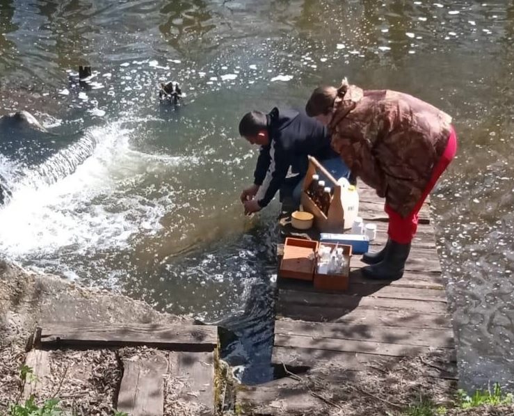 Из пруда Фабричный в Мулловке отобрали пробы воды