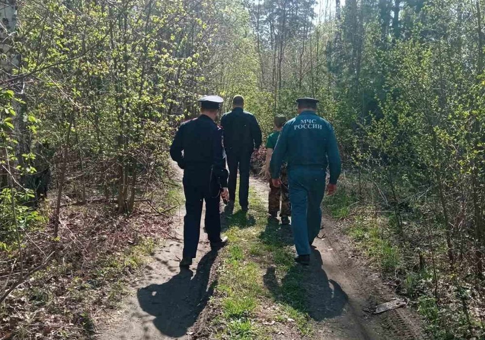 В Ульяновской области усилили патрулирование лесов