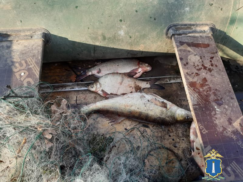 На берегу Большого Черемшана поймали подозреваемого в браконьерстве мужчину