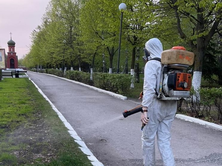 Моргунову поручено ускорить уничтожение клещей в парках и скверах Ульяновска