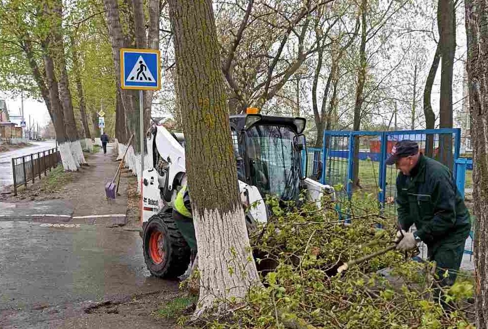 177 аварийных деревьев снесли в Ульяновске за неделю