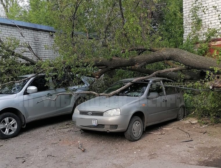 В Киндяковке дерево упало на два припаркованных автомобиля