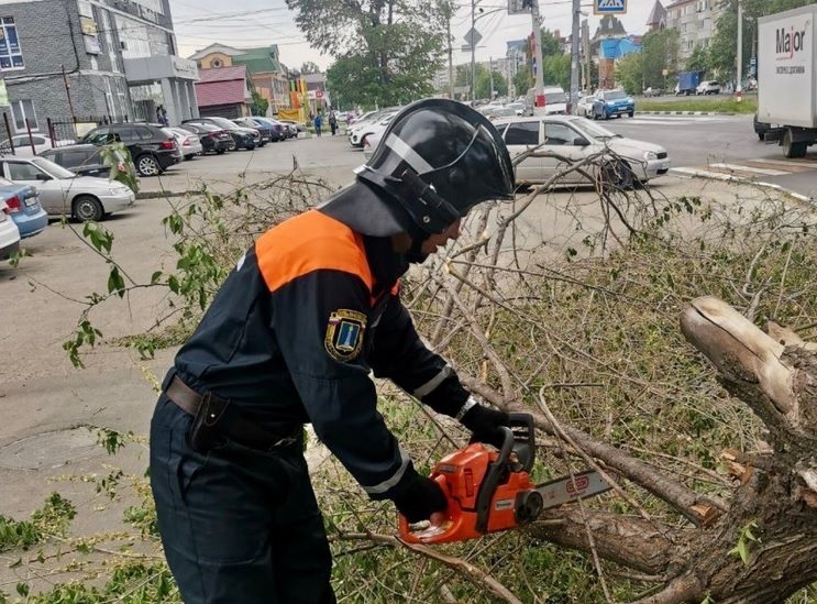 На севере Ульяновска рядом с остановкой упала большая ветка дерева