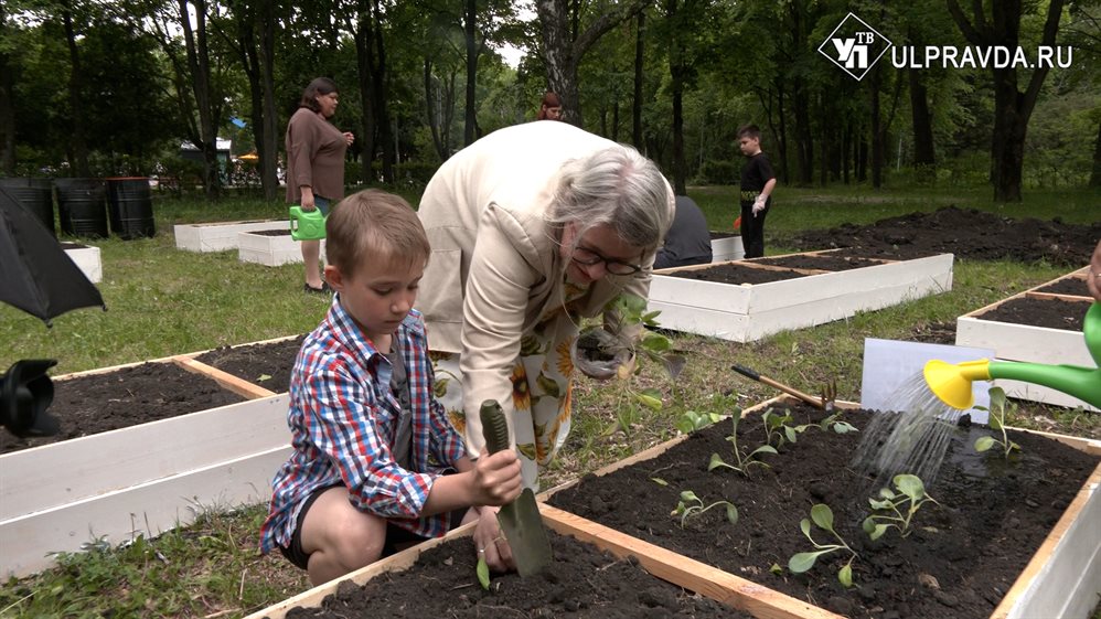 В Ульяновске засадили семейный огород