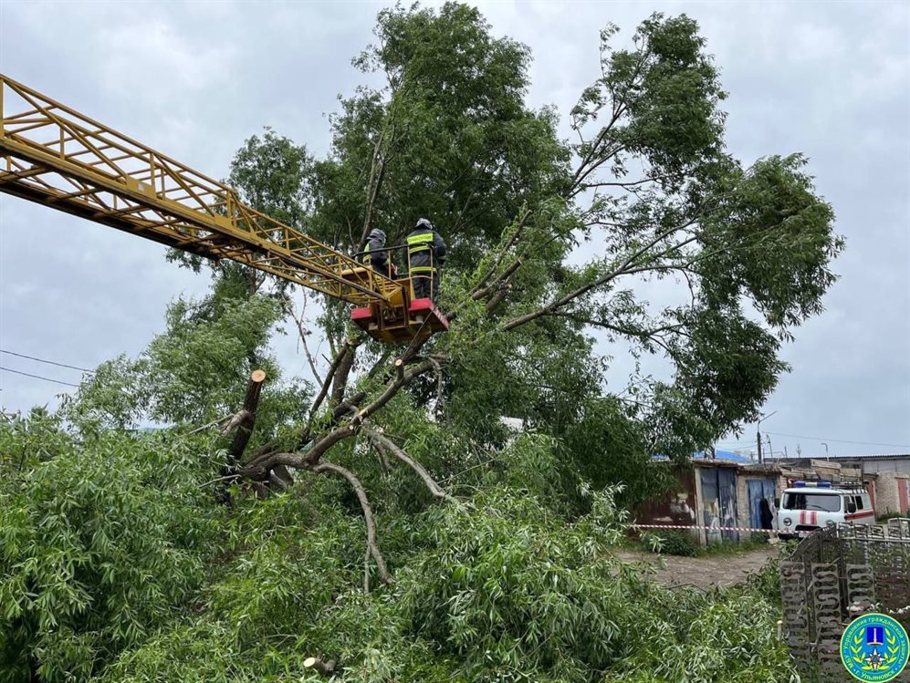 Ульяновские спасатели срубили шесть опасных деревьев и освободили два авто