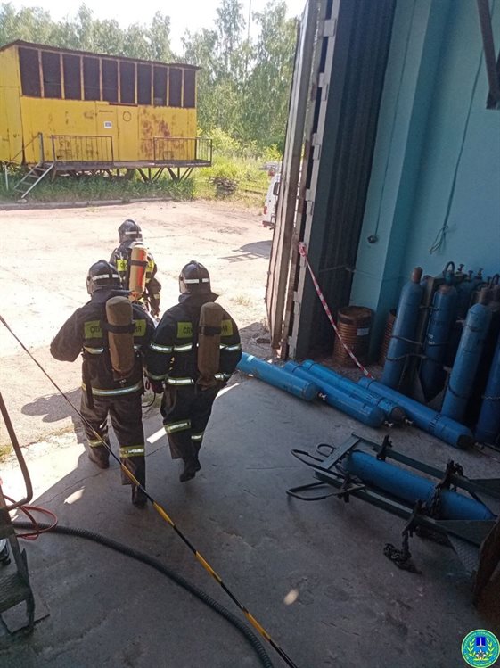 Ульяновские спасатели тушили в субботу пять пожаров