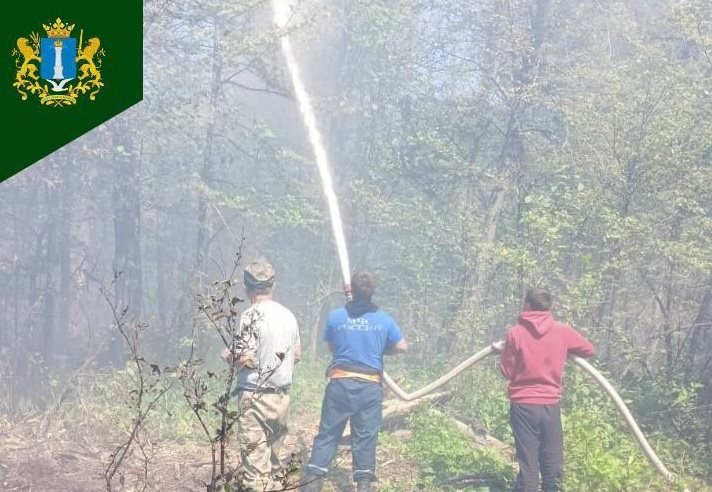 В Мелекесском районе из-за проезжавшего поезда загорелся лес