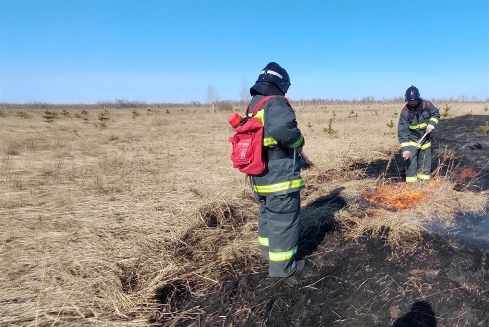 С начала года в Ульяновске на пожарах спасли 34 человека