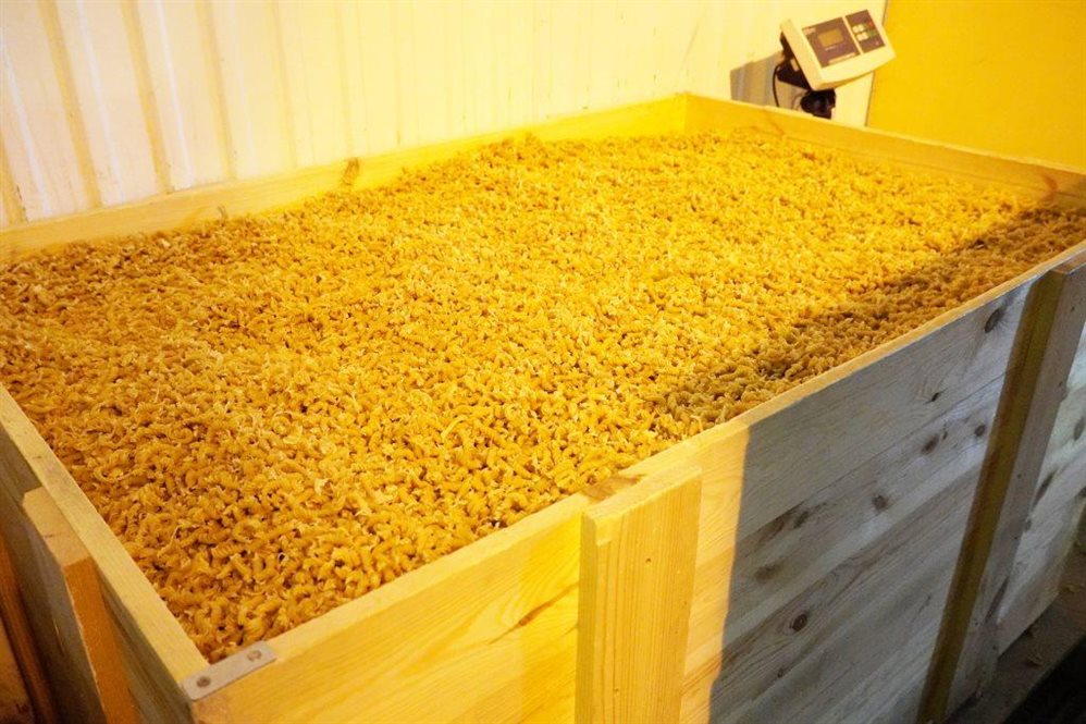 В ульяновской колонии производят 800 кг макарон в сутки