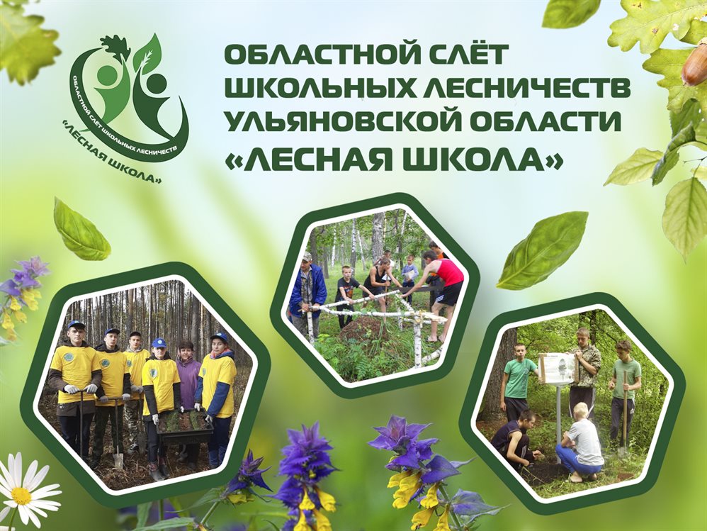 Николаевский район объединит школьников в «Лесной школе»