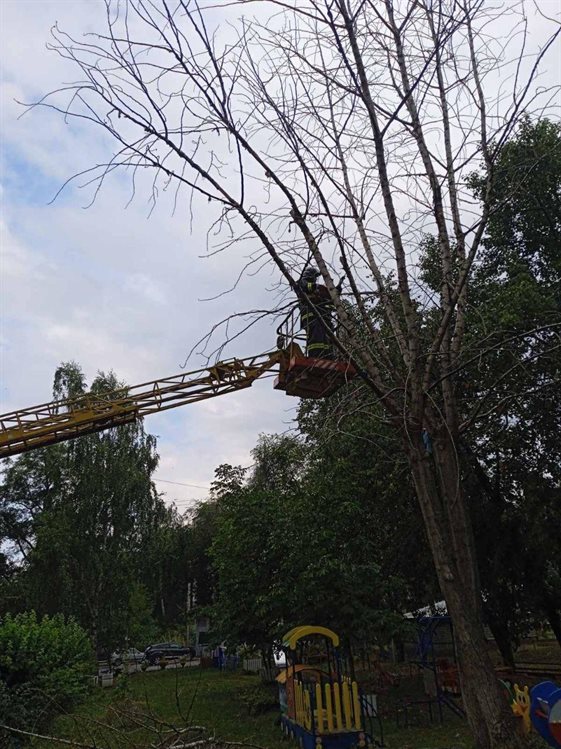 На улице Карсунской спасатели спилили опасное дерево