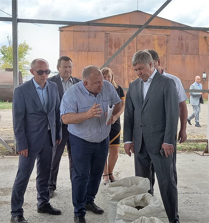 В «Тетюшском» увеличивают поголовье КРС, а абушаевцы строят овощехранилище