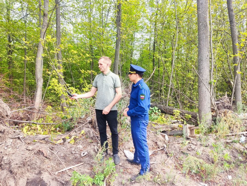 В Димитровграде погубили деревья во время незаконного расширения кладбища